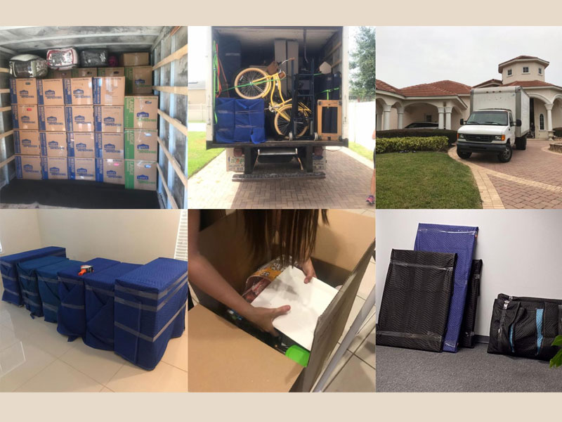 Brazilian Moving
