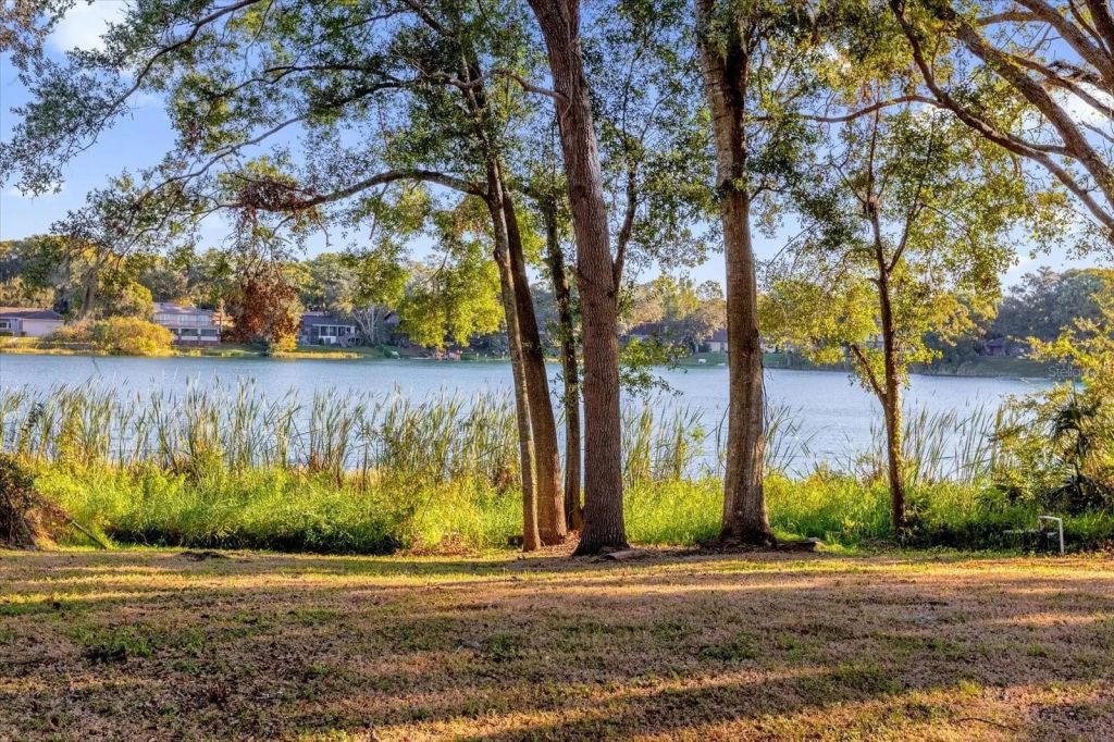 Riva Realty - Realtor Valeria Lucena 